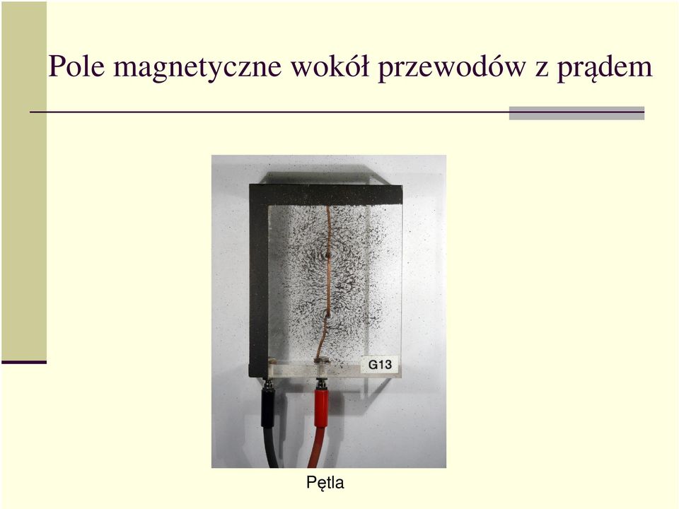 wokół