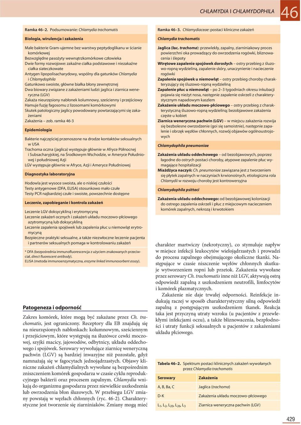 formy rozwojowe: zakaźne ciałka podstawowe i niezakaźne ciałka siateczkowate Antygen lipopolisacharydowy, wspólny dla gatunków Chlamydia i Chlamydophila Gatunkowo swoiste, główne białka błony
