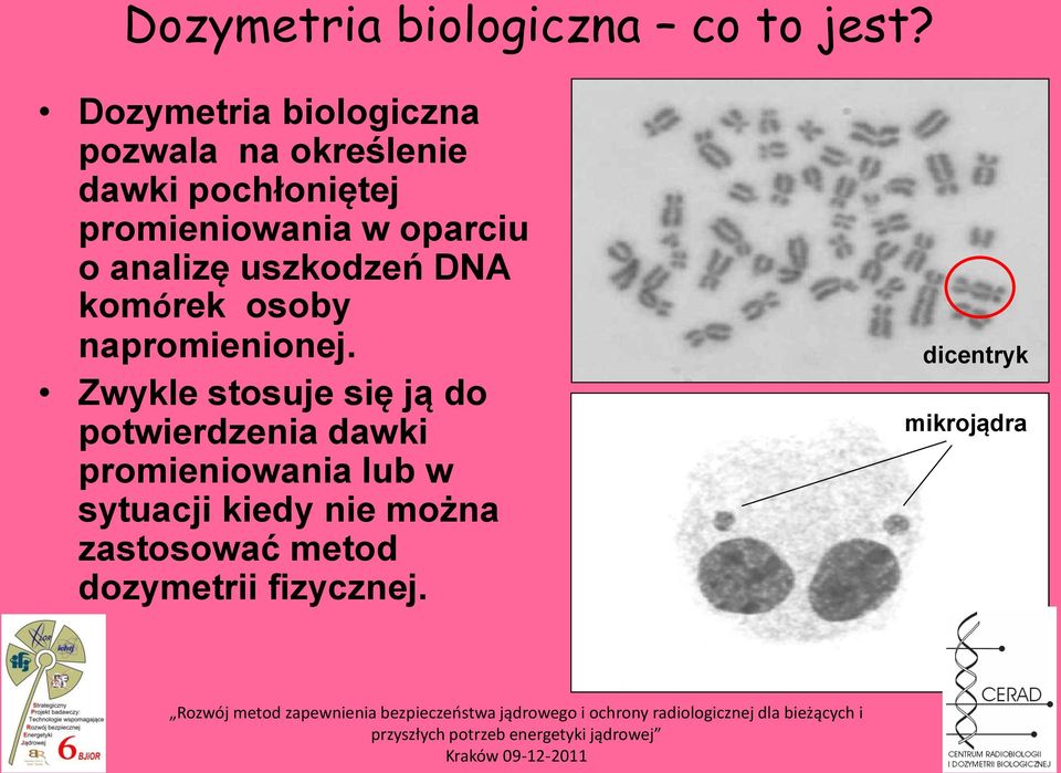 oparciu o analizę uszkodzeń DNA komórek osoby napromienionej.