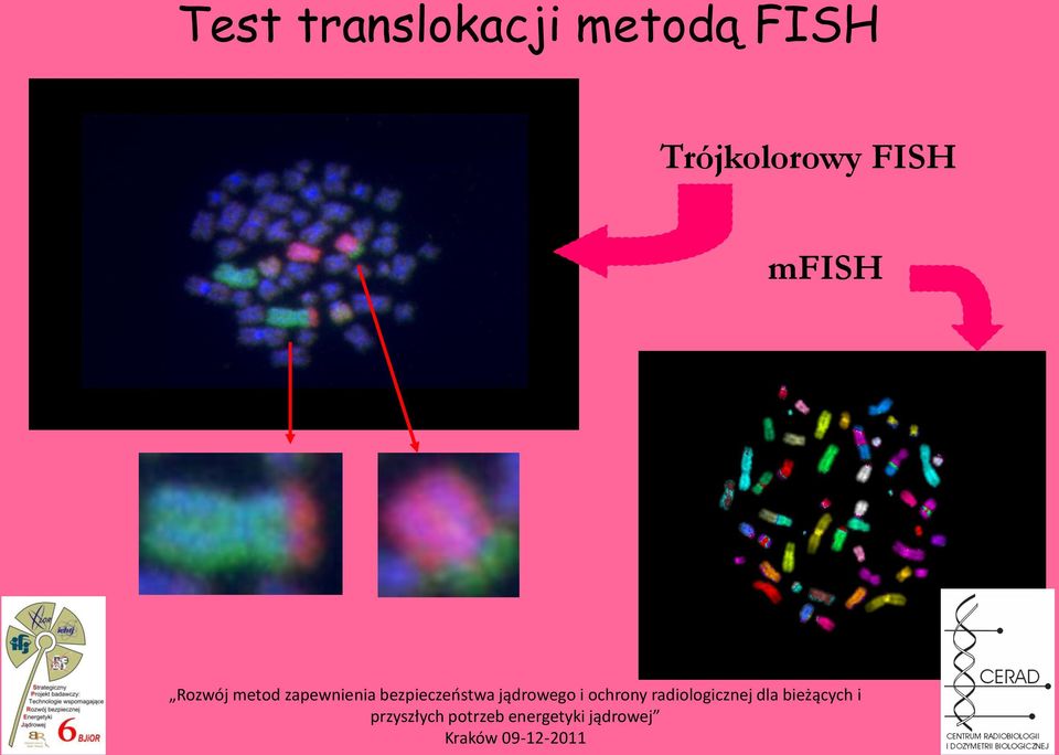 metodą FISH