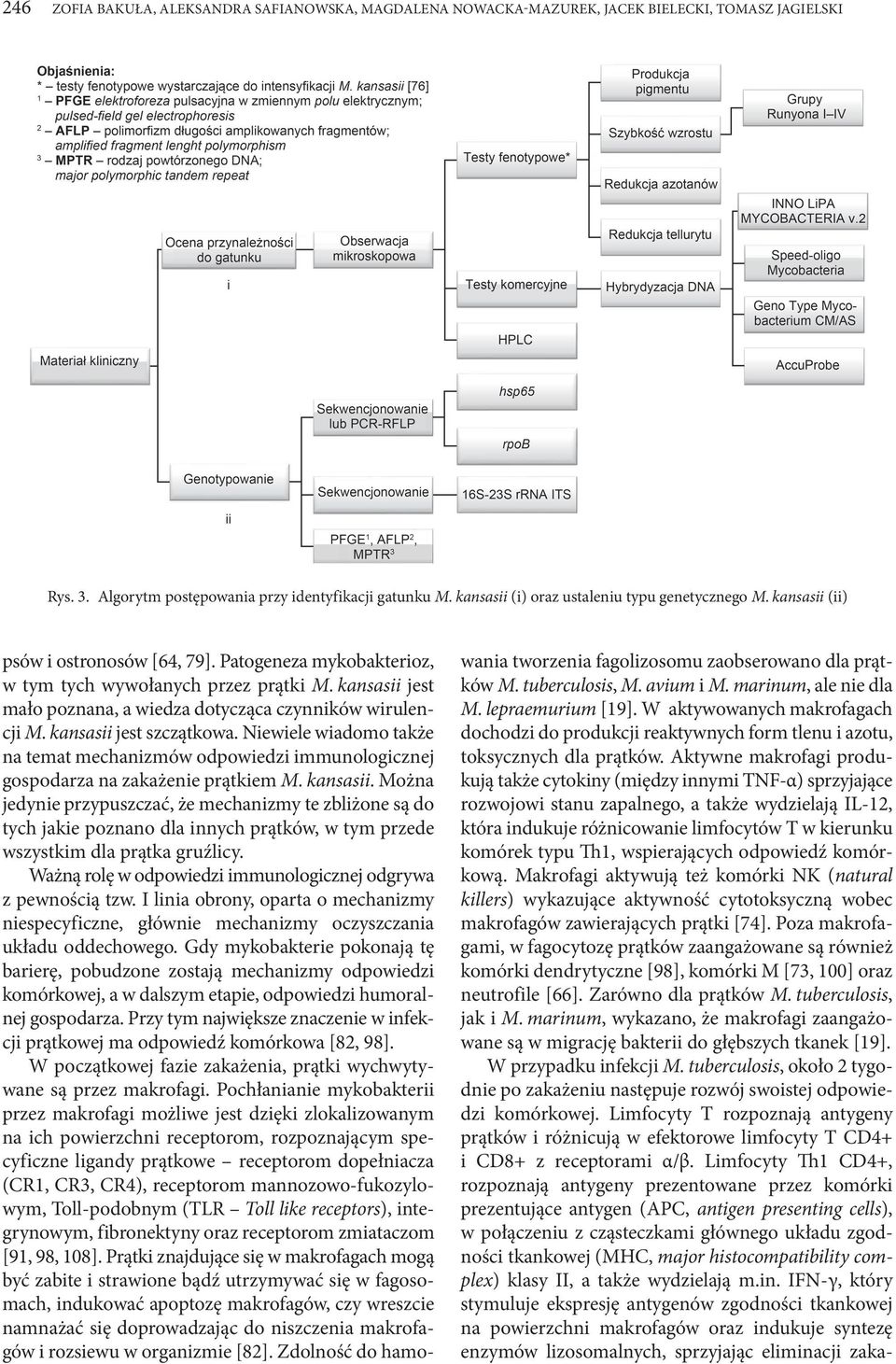 kansasii jest mało poznana, a wiedza dotycząca czynników wirulencji M. kansasii jest szczątkowa.