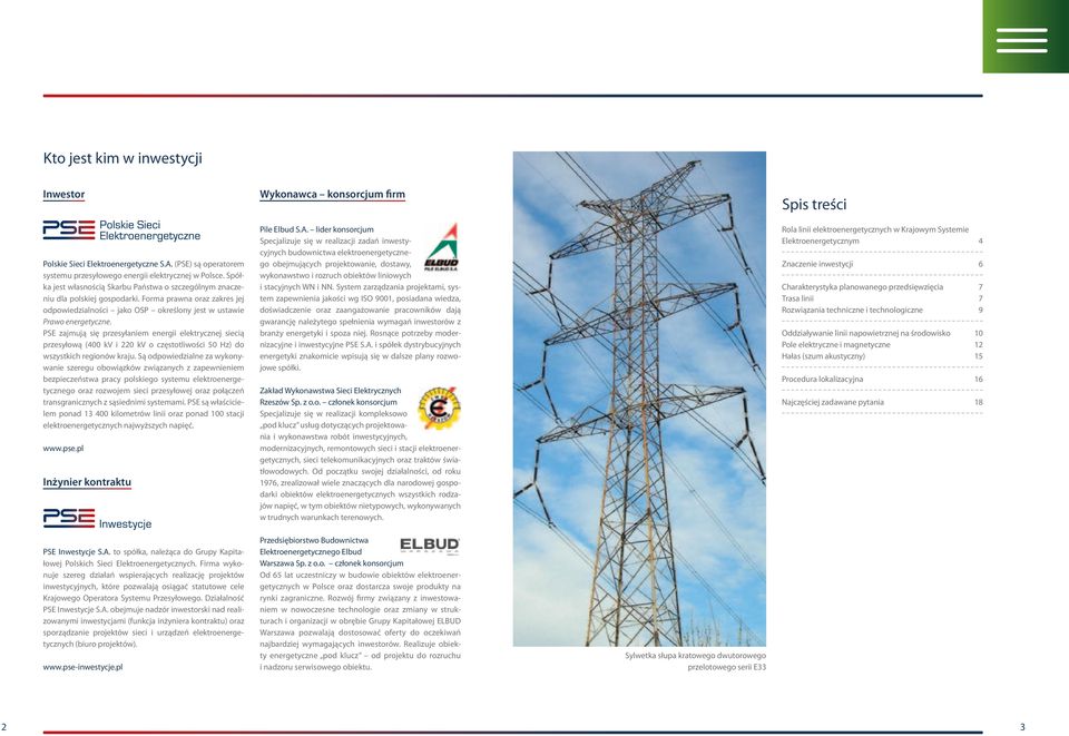 PSE zajmują się przesyłaniem energii elektrycznej siecią przesyłową (400 kv i 220 kv o częstotliwości 50 Hz) do wszystkich regionów kraju.
