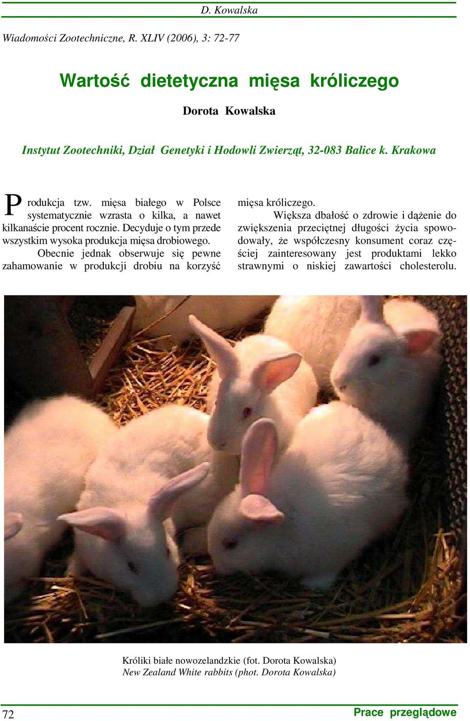 Obecnie jednak obserwuje się pewne zahamowanie w produkcji drobiu na korzyść mięsa króliczego.