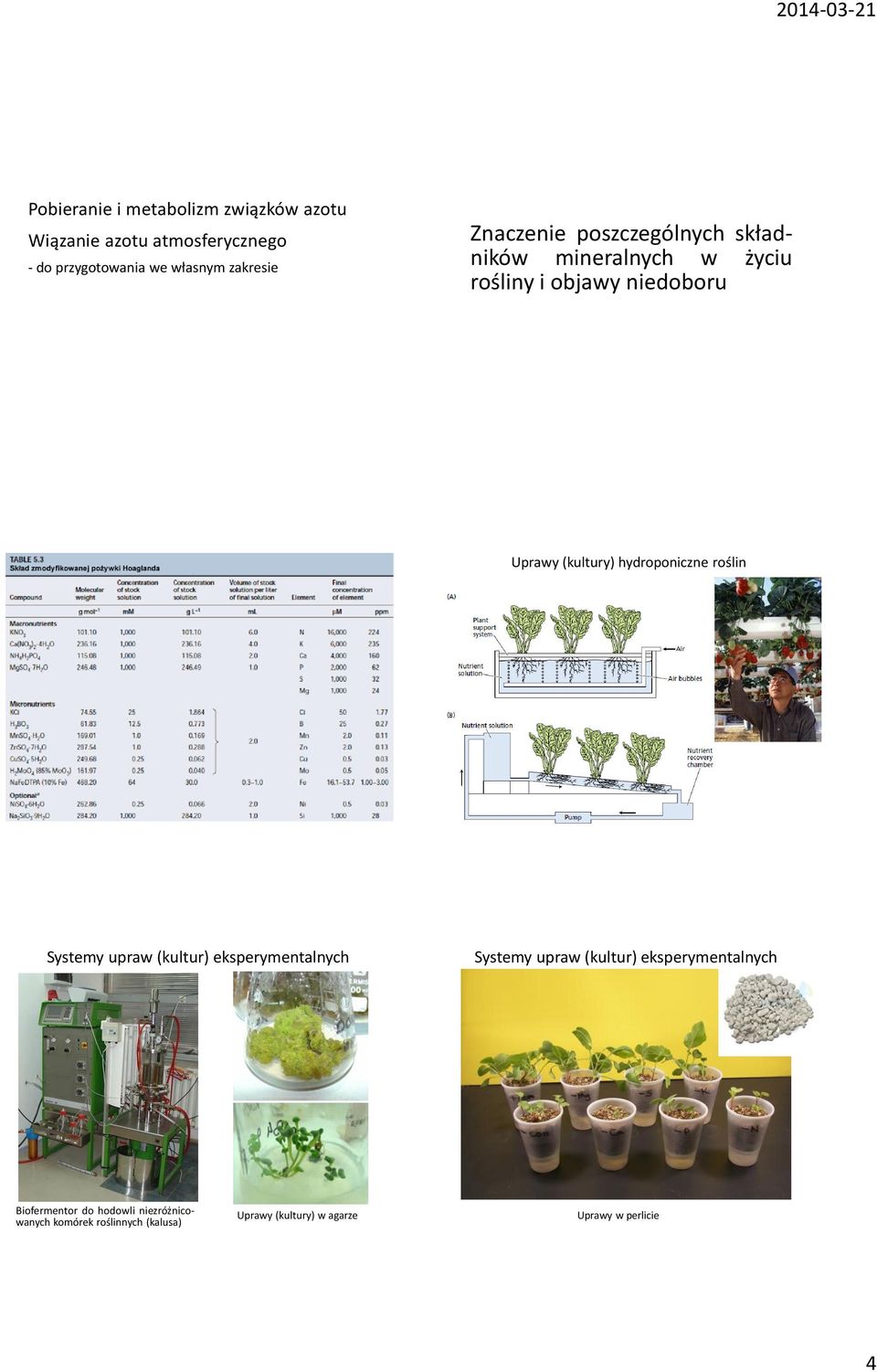 (kultury) hydroponiczne roślin Systemy upraw (kultur) eksperymentalnych Systemy upraw (kultur)