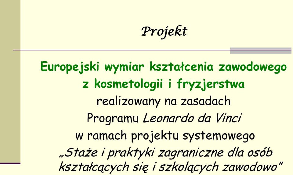 Programu Leonardo da Vinci w ramach projektu systemowego