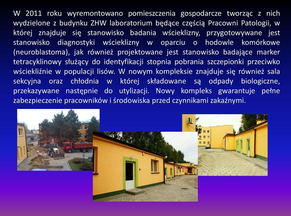 marker tetracyklinowy służący do identyfikacji stopnia pobrania szczepionki przeciwko wściekliźnie w populacji lisów.
