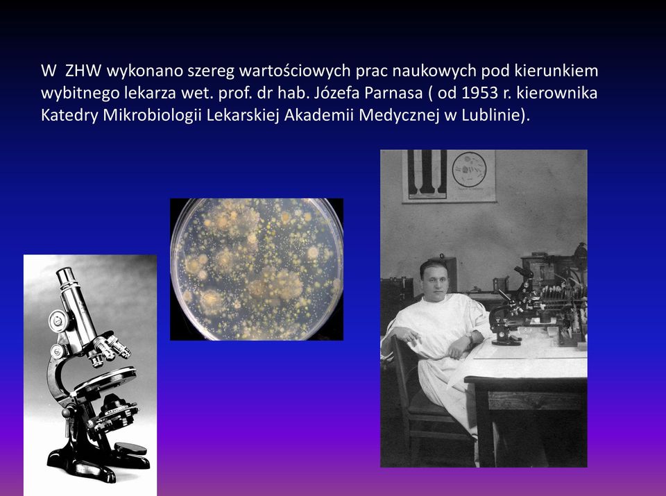 Józefa Parnasa ( od 1953 r.
