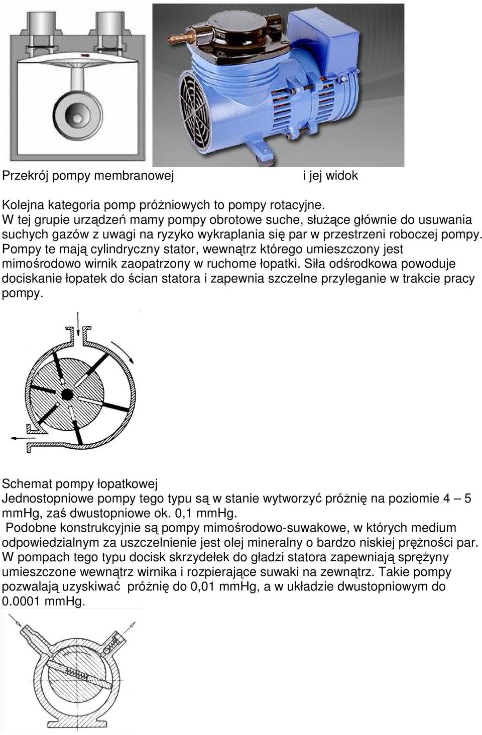 Pompy te mają cylindryczny stator, wewnątrz którego umieszczony jest mimośrodowo wirnik zaopatrzony w ruchome łopatki.
