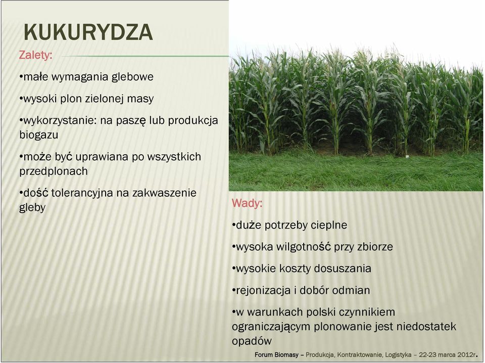 gleby Wady: duże potrzeby cieplne wysoka wilgotność przy zbiorze wysokie koszty dosuszania