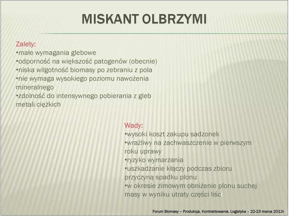 Wady: wysoki koszt zakupu sadzonek wrażliwy na zachwaszczenie w pierwszym roku uprawy ryzyko wymarzania uszkadzanie