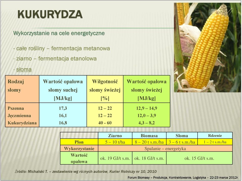 Kukurydziana 16,8 40-60 4,3 8,2 Ziarno Biomasa Słoma Rdzenie Plon 5 10 t/ha 8 20 t s.m./ha 3 6 t s.m./ha 1 2 t s.m./ha Wykorzystanie Spalanie energetyka Wartość opałowa ok.