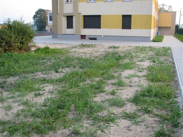 Zaprojektowanie i budowa szkolnego placu zabaw w ramach rządowego programu Radosna szkoła przy Szkole Podstawowej im.