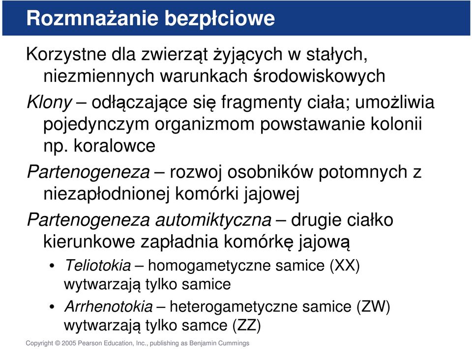 koralowce Partenogeneza rozwoj osobników potomnych z niezapłodnionej komórki jajowej Partenogeneza automiktyczna drugie