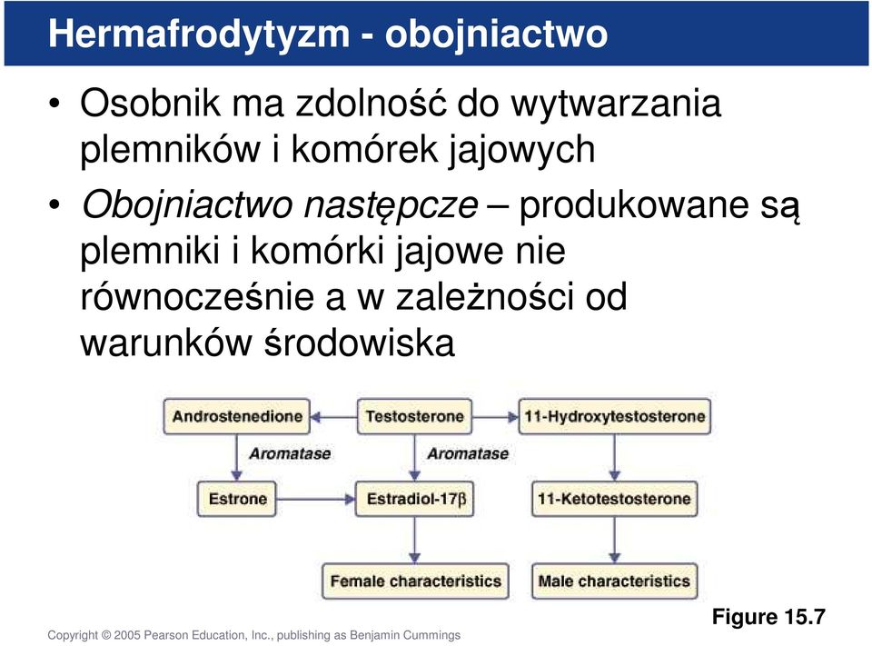 następcze produkowane są plemniki i komórki jajowe nie