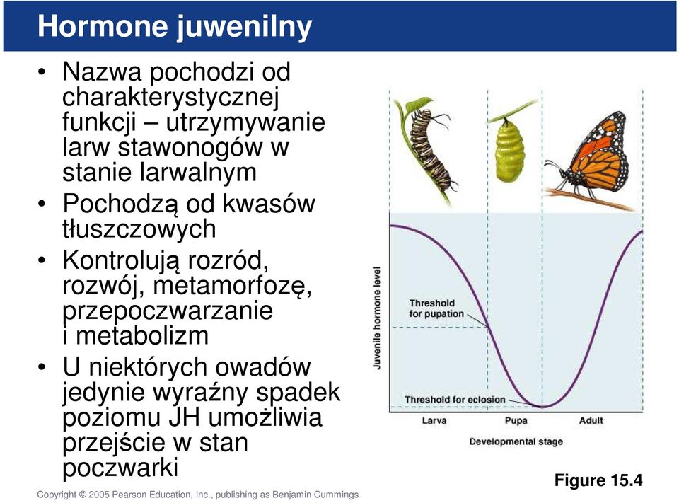 rozród, rozwój, metamorfozę, przepoczwarzanie i metabolizm U niektórych owadów