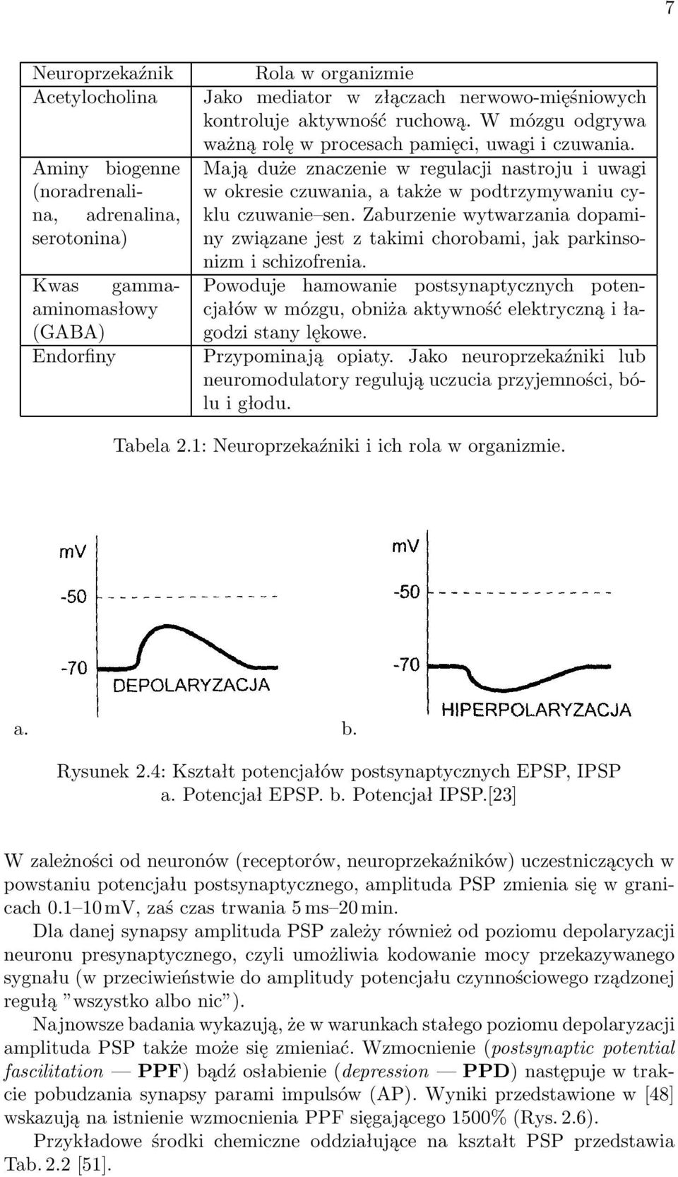 Mają duże znaczenie w regulacji nastroju i uwagi w okresie czuwania, a także w podtrzymywaniu cyklu czuwanie sen.