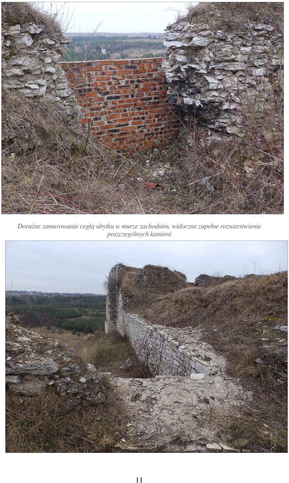 widoczne zupełne
