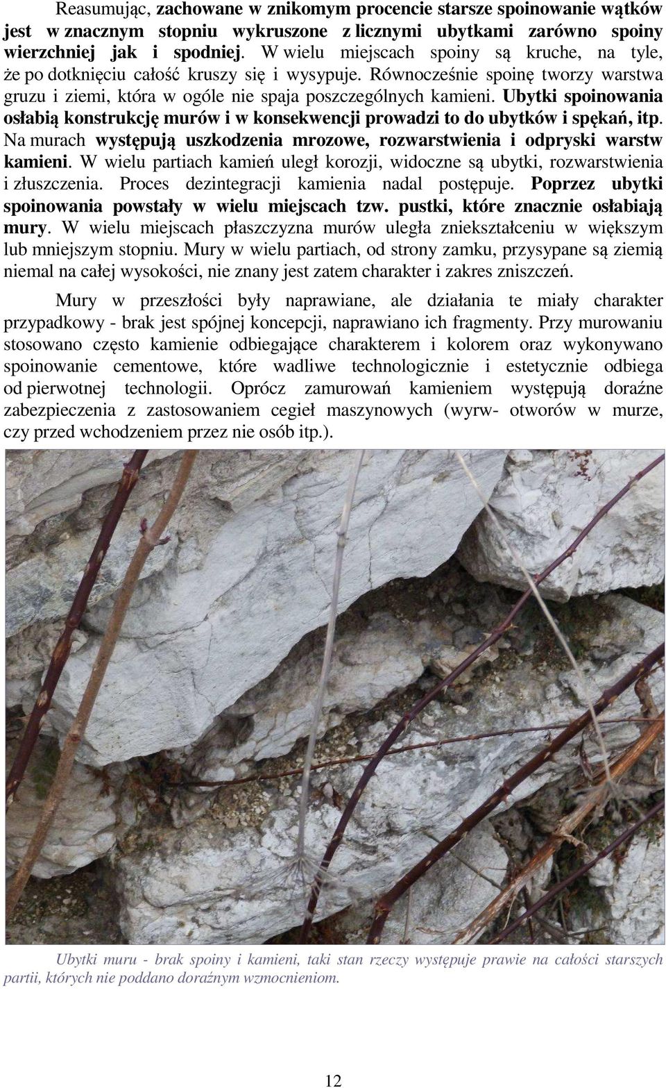 Ubytki spoinowania osłabią konstrukcję murów i w konsekwencji prowadzi to do ubytków i spękań, itp. Na murach występują uszkodzenia mrozowe, rozwarstwienia i odpryski warstw kamieni.