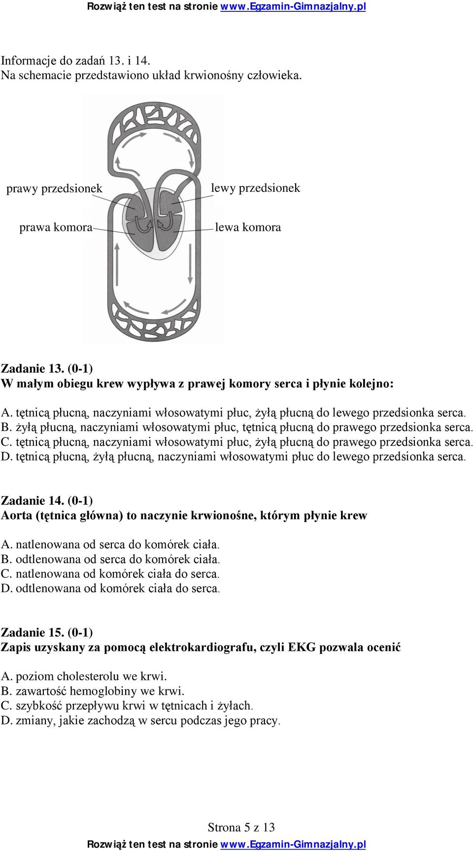 żyłą płucną, naczyniami włosowatymi płuc, tętnicą płucną do prawego przedsionka serca. C. tętnicą płucną, naczyniami włosowatymi płuc, żyłą płucną do prawego przedsionka serca. D.