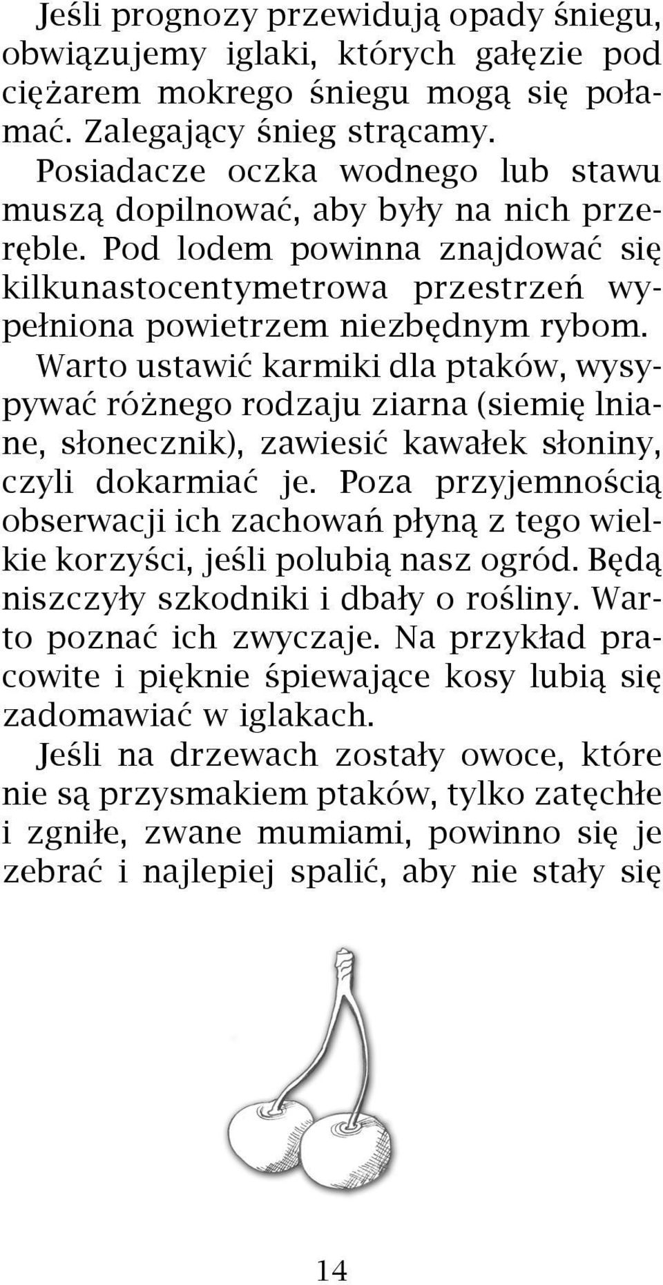 Warto ustawiæ karmiki dla ptaków, wysypywaæ ró nego rodzaju ziarna (siemiê lniane, s³onecznik), zawiesiæ kawa³ek s³oniny, czyli dokarmiaæ je.