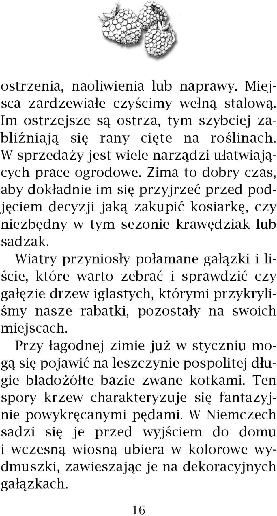 Zima to dobry czas, aby dok³adnie im siê przyjrzeæ przed podjêciem decyzji jak¹ zakupiæ kosiarkê, czy niezbêdny w tym sezonie krawêdziak lub sadzak.