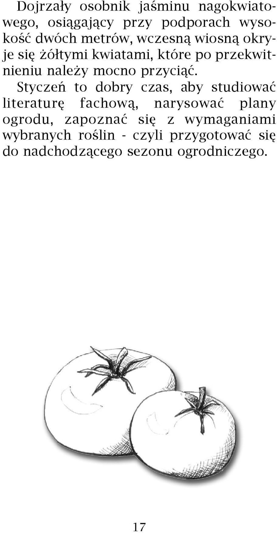 Styczeñ to dobry czas, aby studiowaæ literaturê fachow¹, narysowaæ plany ogrodu, zapoznaæ