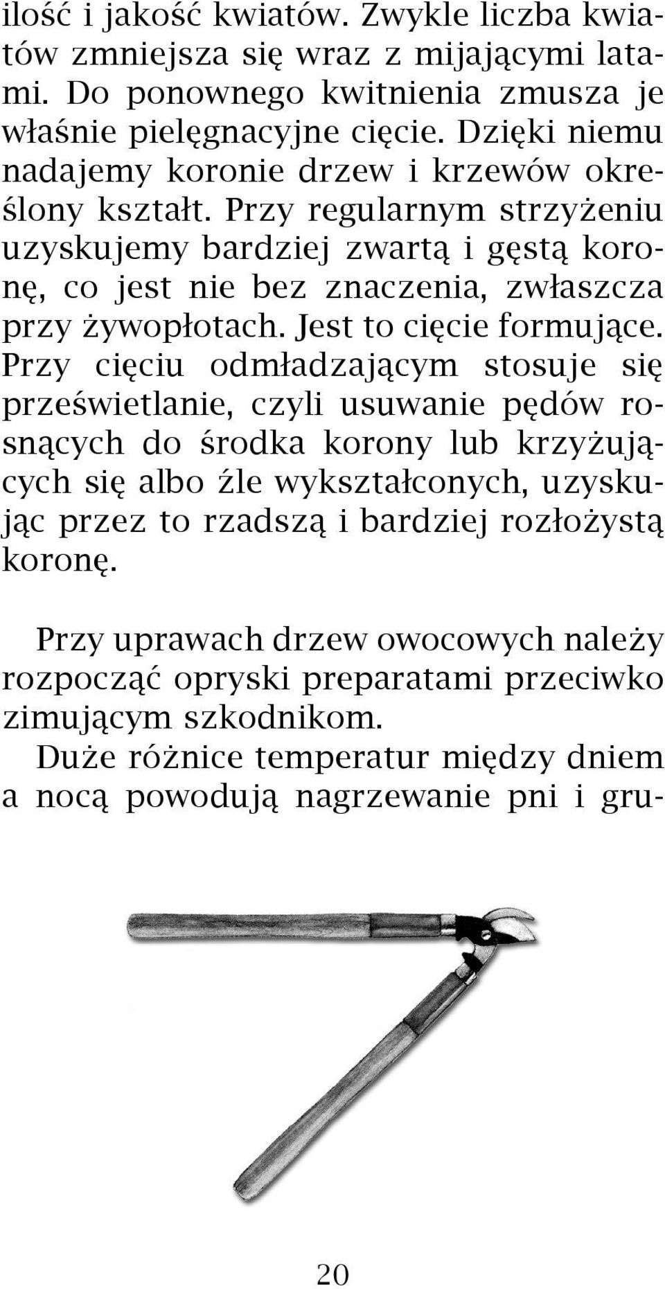 Przy regularnym strzy eniu uzyskujemy bardziej zwart¹ i gêst¹ koronê, co jest nie bez znaczenia, zw³aszcza przy ywop³otach. Jest to ciêcie formuj¹ce.
