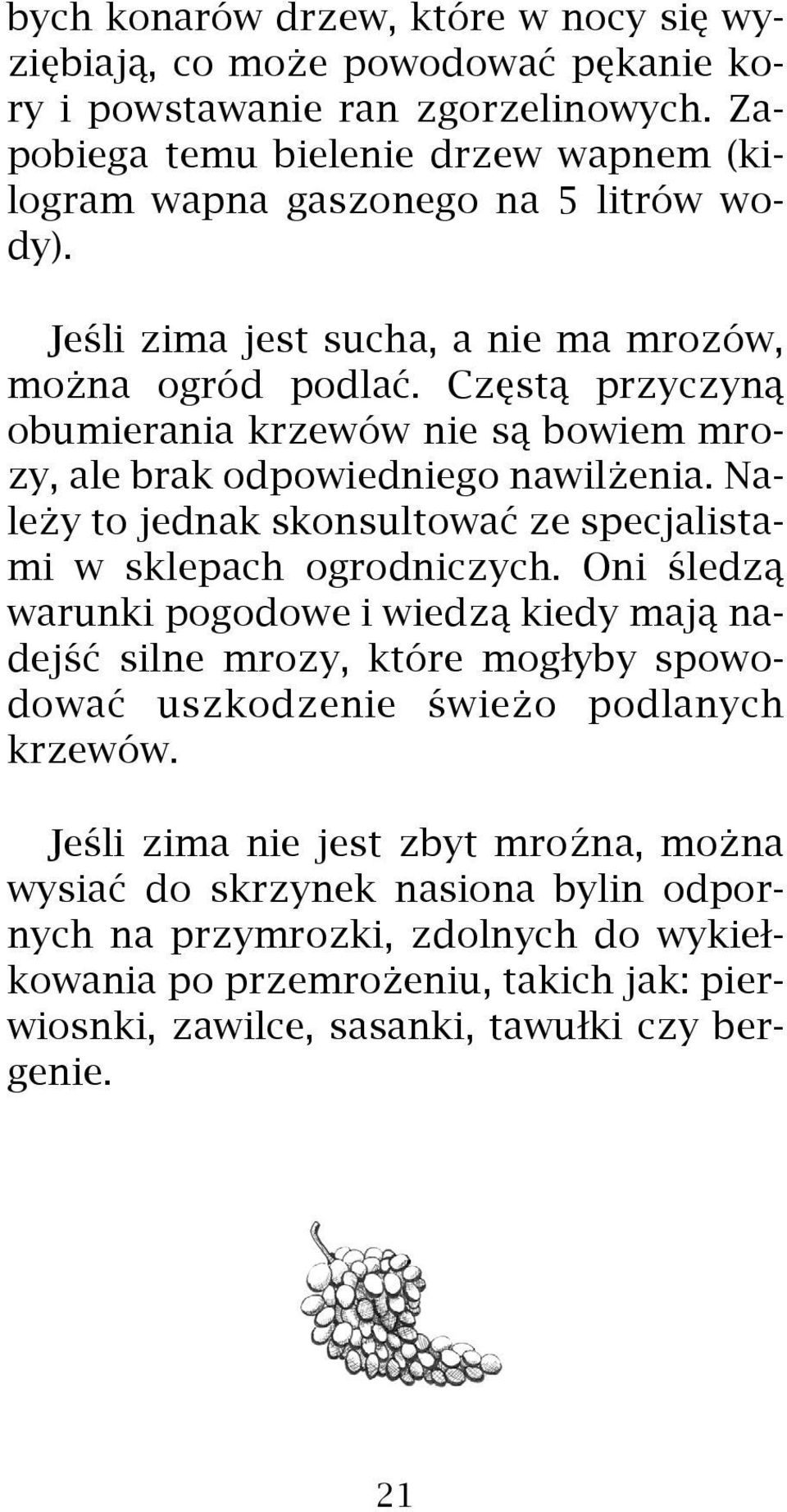 Czêst¹ przyczyn¹ obumierania krzewów nie s¹ bowiem mrozy, ale brak odpowiedniego nawil enia. Nale y to jednak skonsultowaæ ze specjalistami w sklepach ogrodniczych.
