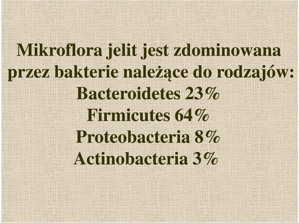 rodzajów: Bacteroidetes 23%