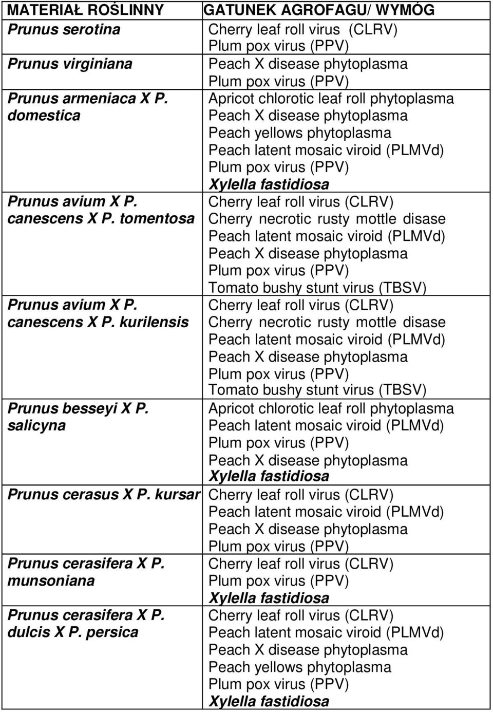 disease phytoplasma Peach yellows phytoplasma Peach latent mosaic viroid (PLMVd) Plum pox virus (PPV) Xylella fastidiosa Cherry leaf roll virus (CLRV) Cherry necrotic rusty mottle disase Peach latent