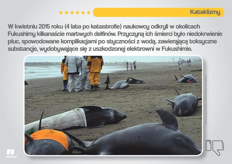 Przyczyną ich śmierci było niedokrwienie płuc, spowodowane komplikacjami po styczności z wodą,