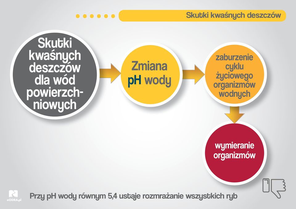 cyklu życiowego organizmów wodnych wymieranie