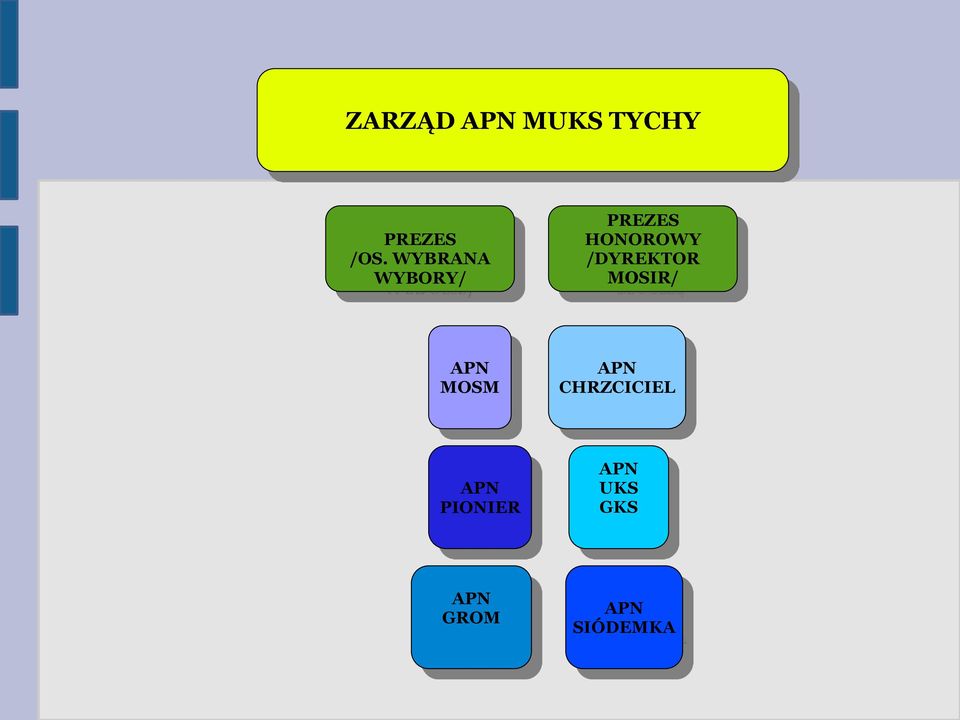 /DYREKTOR MOSIR/ APN MOSM APN