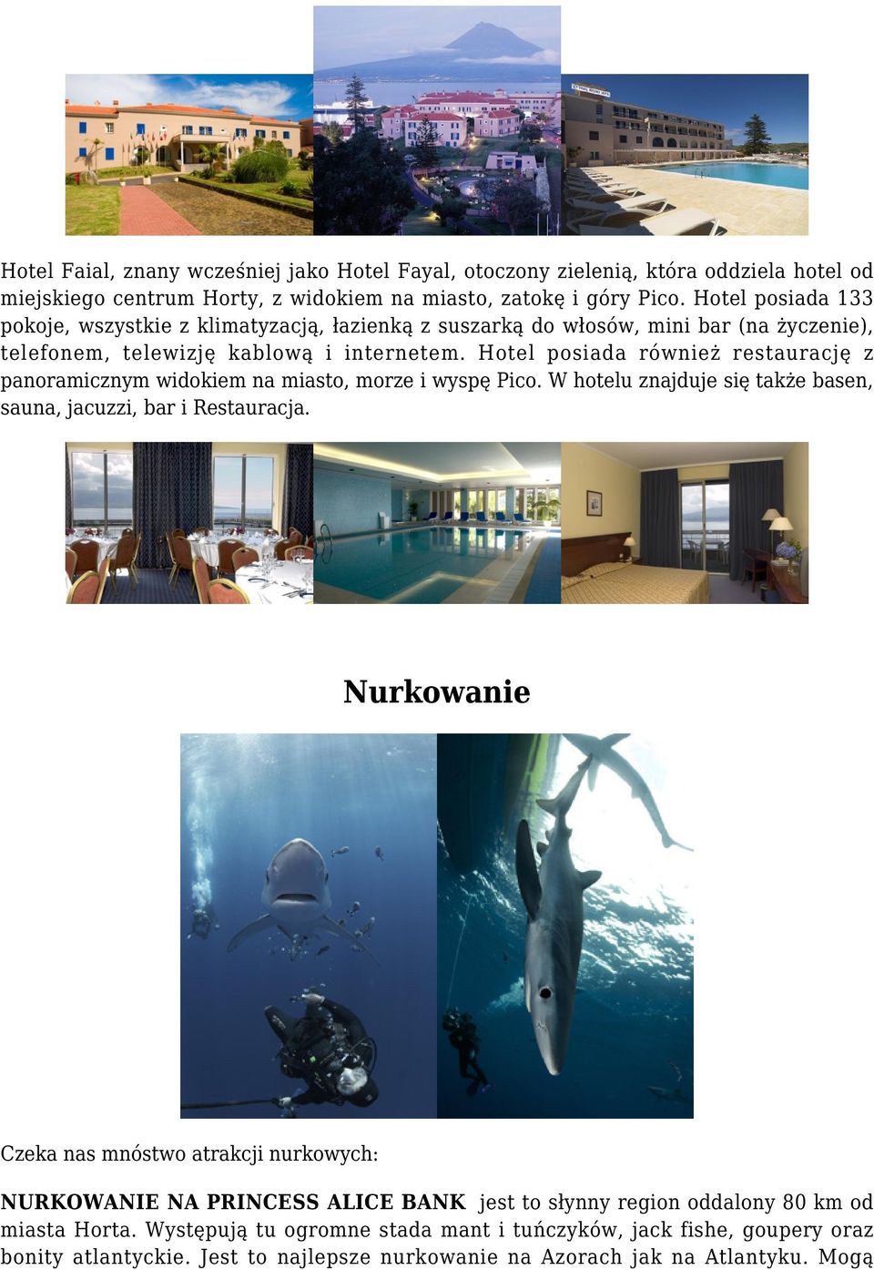 Hotel posiada również restaurację z panoramicznym widokiem na miasto, morze i wyspę Pico. W hotelu znajduje się także basen, sauna, jacuzzi, bar i Restauracja.