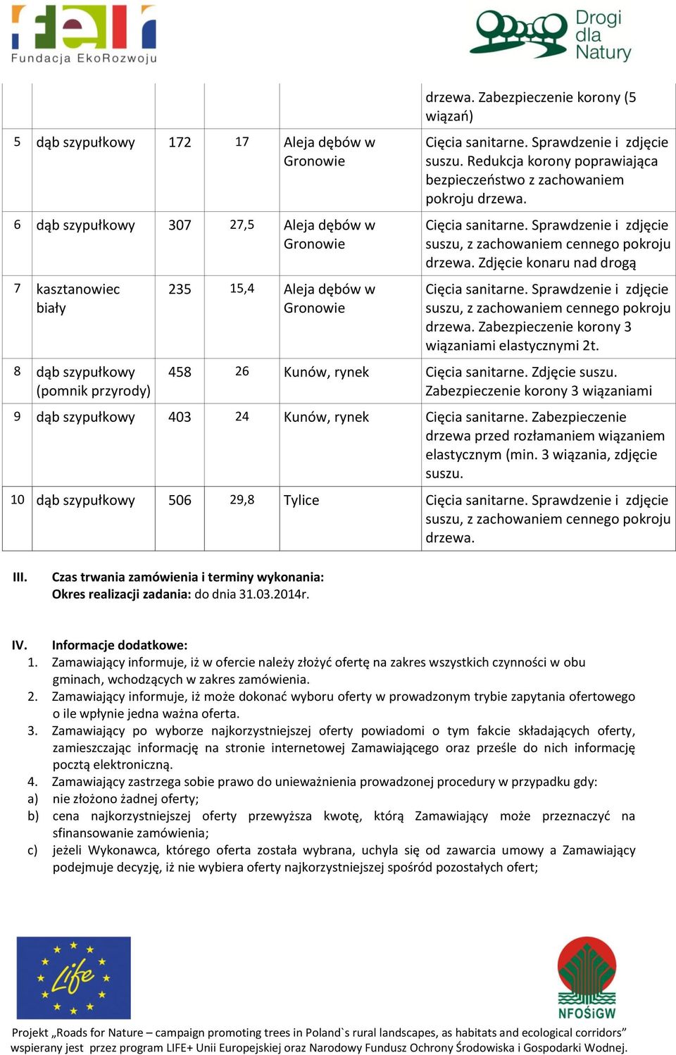 Zabezpieczenie korony 3 wiązaniami elastycznymi 2t. 458 26 Kunów, rynek Cięcia sanitarne. Zdjęcie suszu. Zabezpieczenie korony 3 wiązaniami 9 dąb szypułkowy 403 24 Kunów, rynek Cięcia sanitarne.