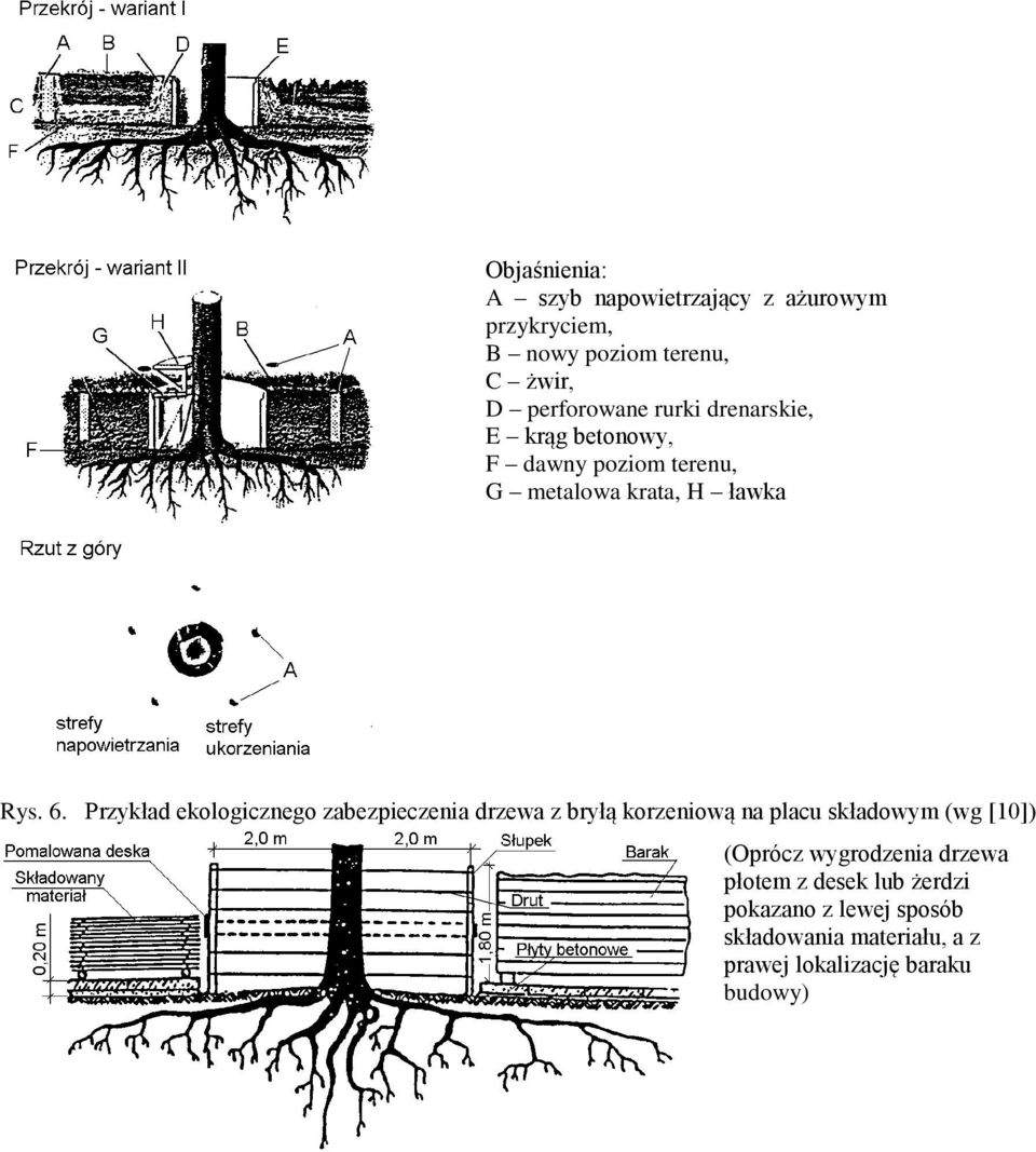 Przykład ekologicznego zabezpieczenia drzewa z bryłą korzeniową na placu składowym (wg [10]) (Oprócz