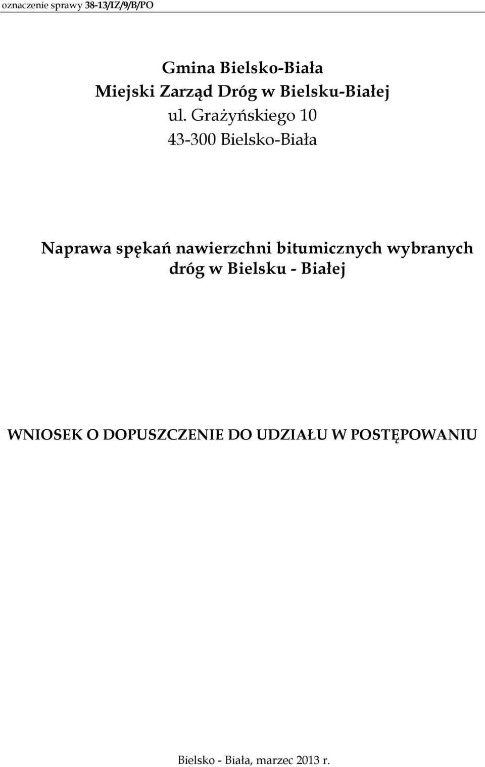 nawierzchni bitumicznych wybranych dróg w Bielsku - Białej