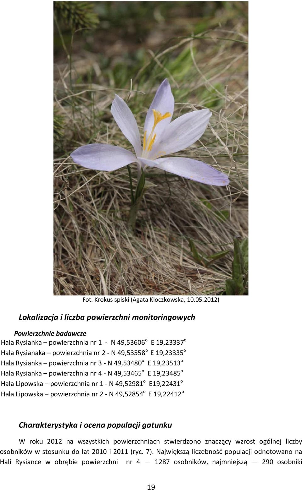 o Hala Rysianka powierzchnia nr 3 - N 49,53480 o E 19,23513 o Hala Rysianka powierzchnia nr 4 - N 49,53465 o E 19,23485 o Hala Lipowska powierzchnia nr 1 - N 49,52981 o E19,22431 o Hala Lipowska