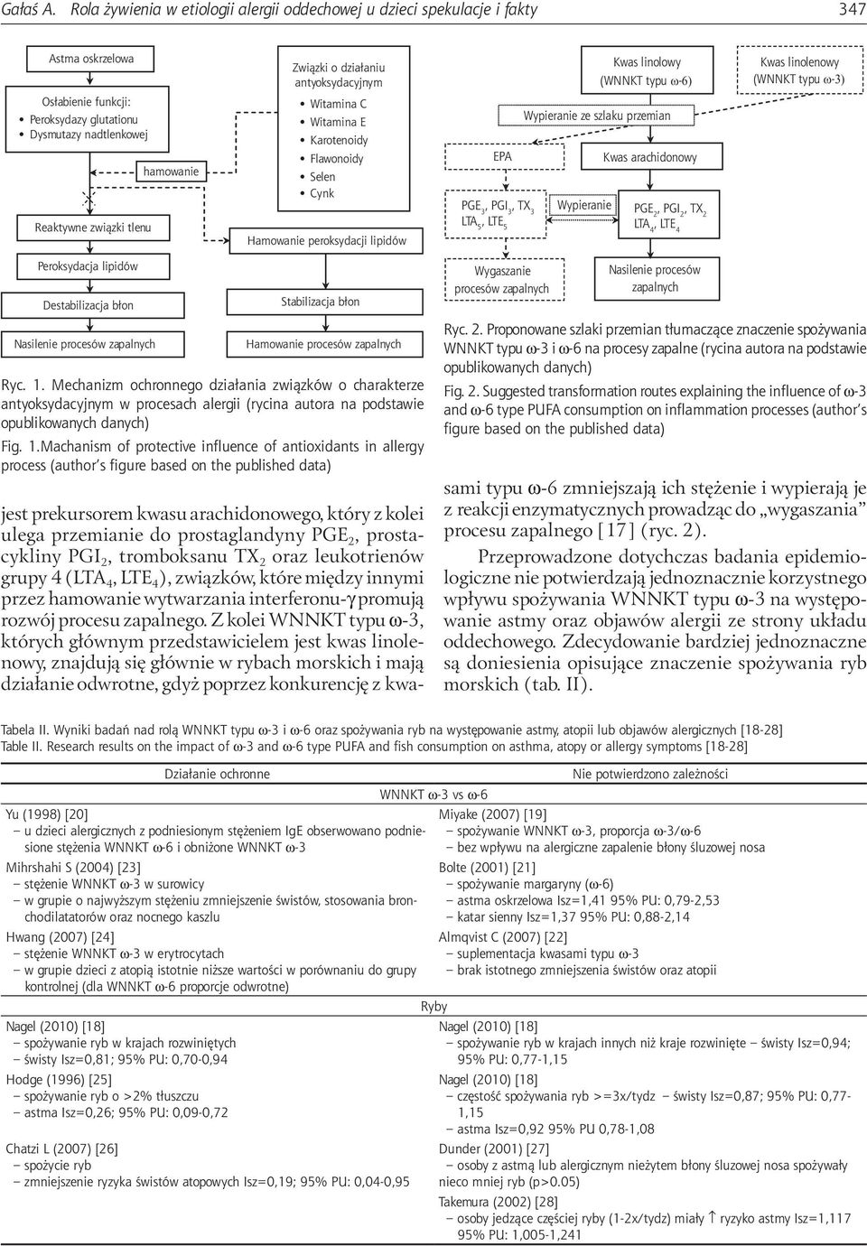 Związki o działaniu antyoksydacyjnym Witamina C Witamina E Karotenoidy Flawonoidy Selen Cynk Hamowanie peroksydacji lipidów EPA Kwas linolowy (WNNKT typu ω-6) Wypieranie ze szlaku przemian Kwas