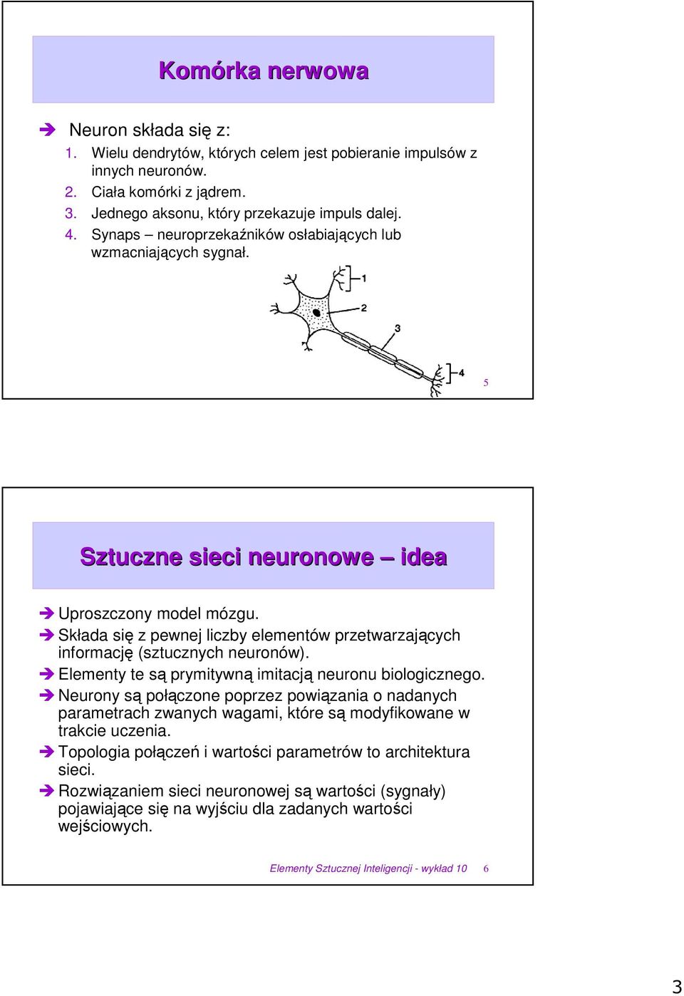 Składa si z pewnej liczby elementów przetwarzajcych informacj (sztucznych neuronów). Elementy te s prymitywn imitacj neuronu biologicznego.