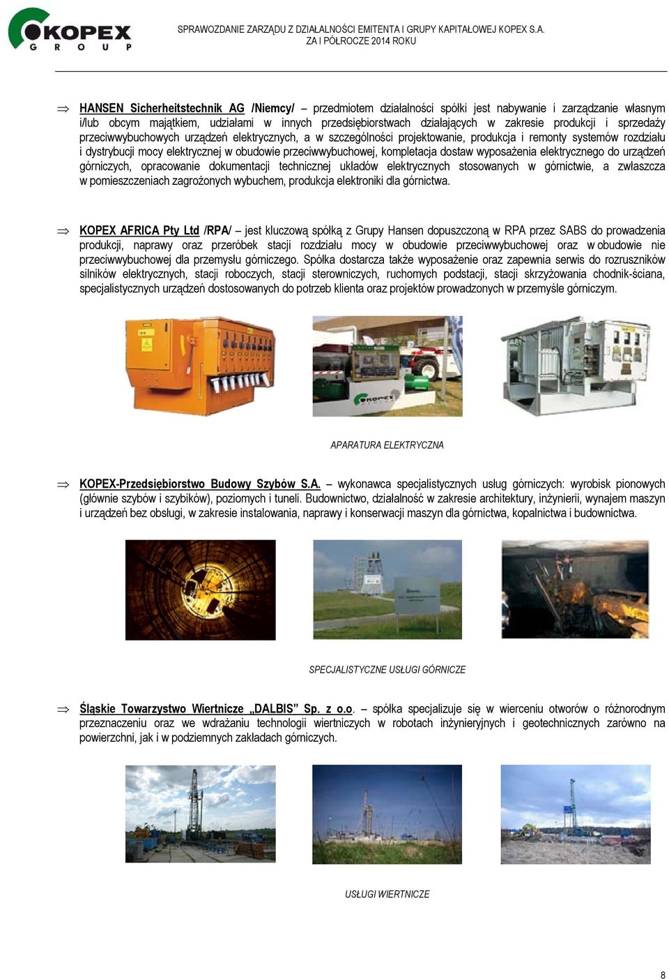 kompletacja dostaw wyposażenia elektrycznego do urządzeń górniczych, opracowanie dokumentacji technicznej układów elektrycznych stosowanych w górnictwie, a zwłaszcza w pomieszczeniach zagrożonych