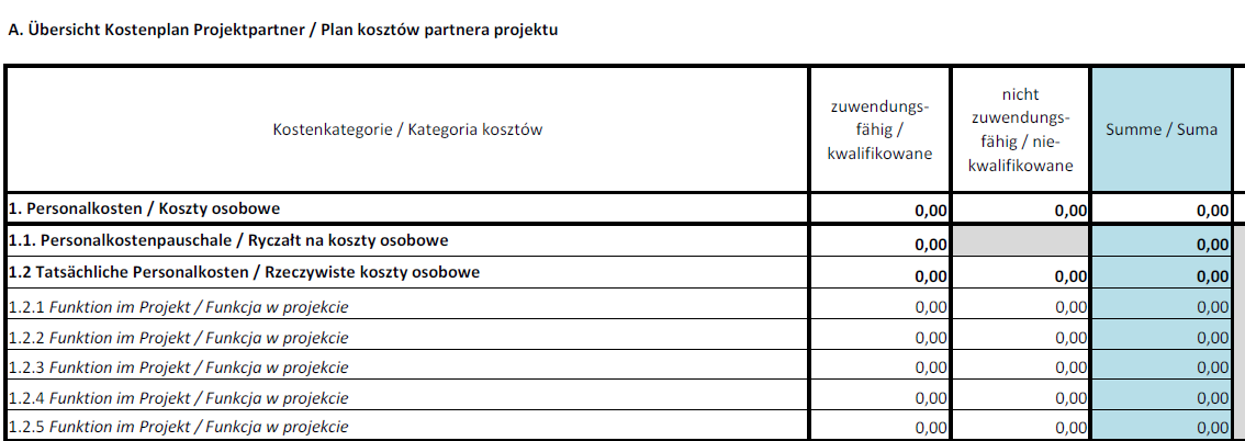 A. Personalkosten Je nach ihrer Höhe können die Personalkosten entweder als Pauschale oder als tatsächlich getragene Personalkosten angegeben werden.