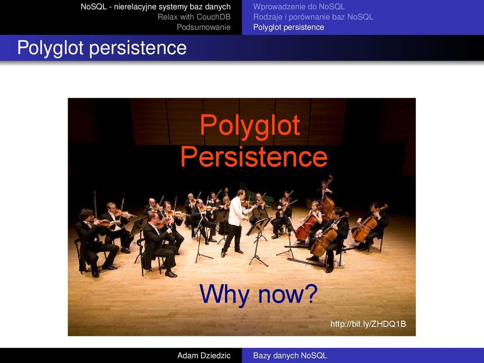 Polyglot persistence Polyglot
