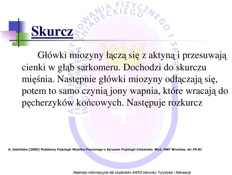 Następnie główki miozyny odłączają się, potem to samo czynią jony wapnia, które wracają