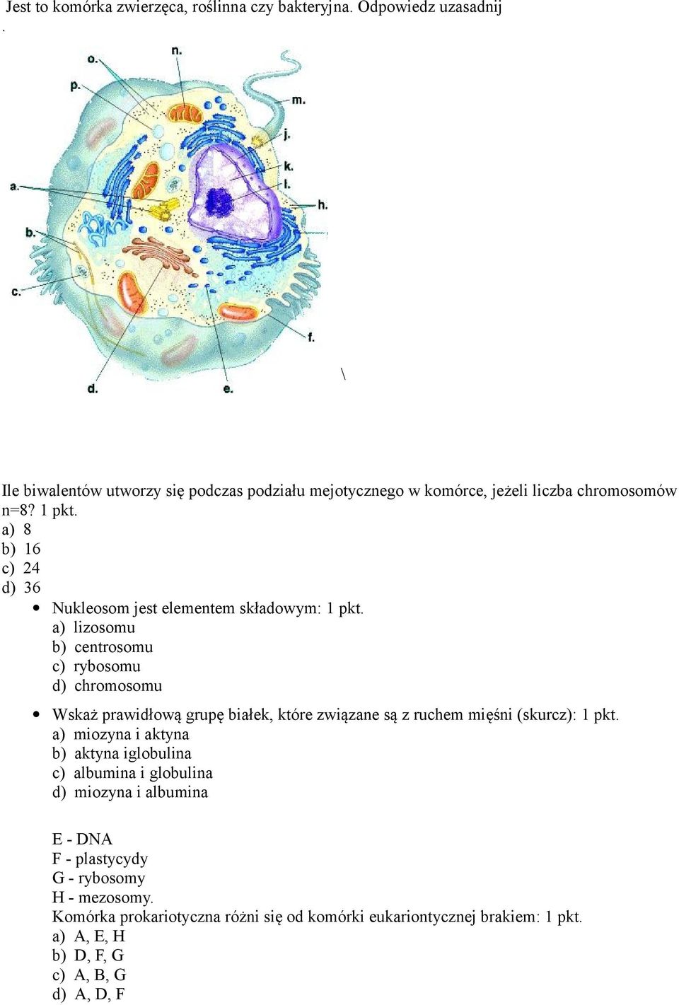 a) 8 b) 16 c) 24 d) 36 Nukleosom jest elementem składowym: 1 pkt.