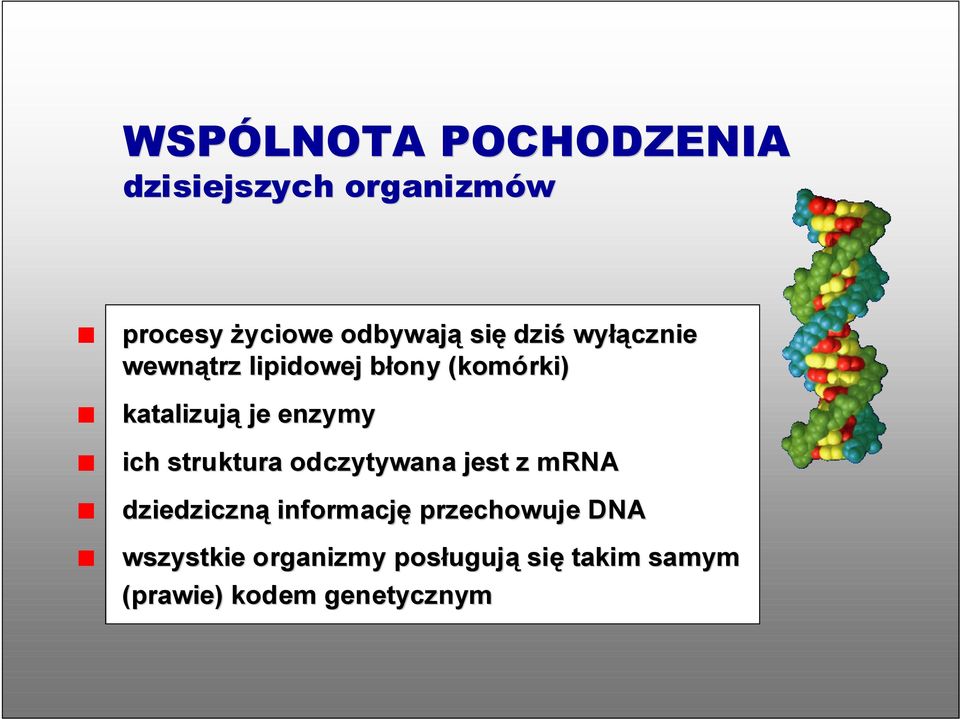 enzymy ich struktura odczytywana jest z mrna dziedziczną informację
