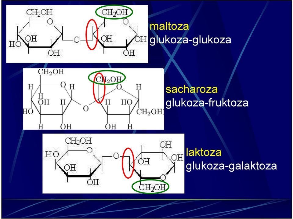 sacharoza