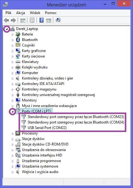 W menedżerze urządzeń należy rozwinąć pole Porty (COM i LPT).