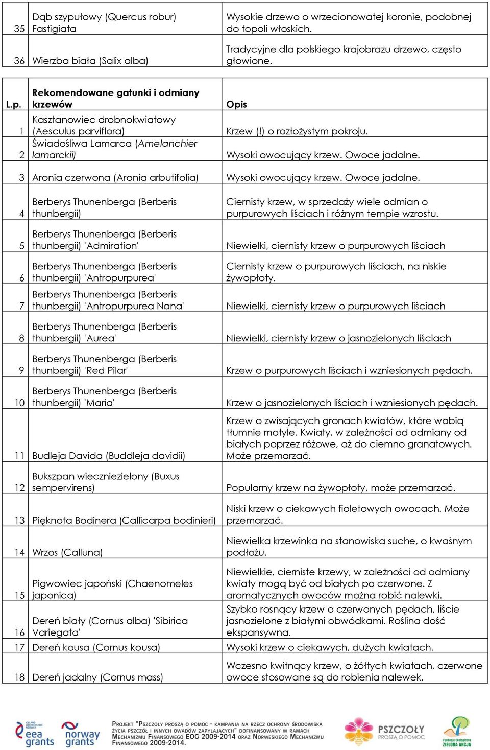 ) o rozłożystym pokroju. Wysoki owocujący krzew. Owoce jadalne.