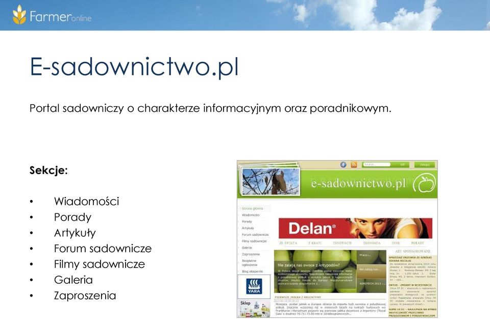informacyjnym oraz poradnikowym.